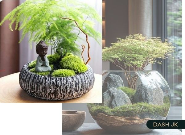 Cây bonsai