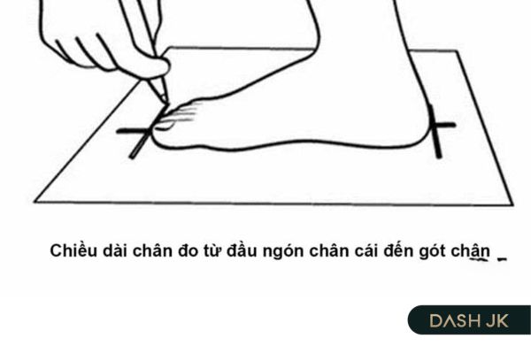 Cách đo chiều dài bàn chân để chọn size giày