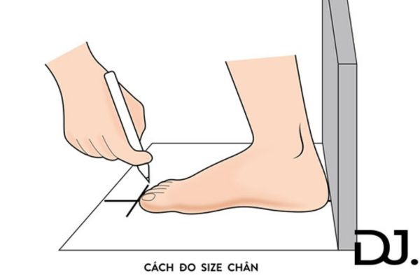 Các bước đo kích thước chân khi chọn size giày Hàn Quốc